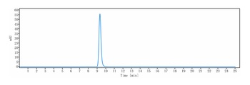 IL-1RAP/IL-1R3 Antibody