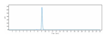 ERBB2/HER2/CD340 Antibody