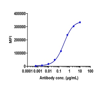 ERBB2/HER2/CD340 Antibody