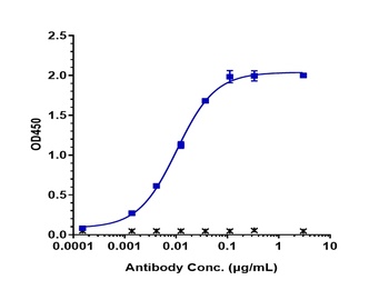 FcRn (FCGRT & B2M) Antibody