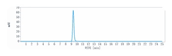 TNFSF7/CD27L/CD70 Antibody