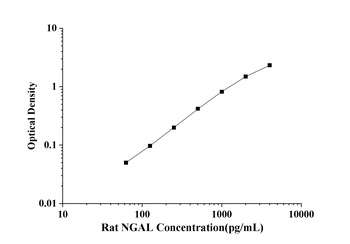 Rat Neutrophil Gelatinase Associated Lipocalin (NGAL) ELISA Kit