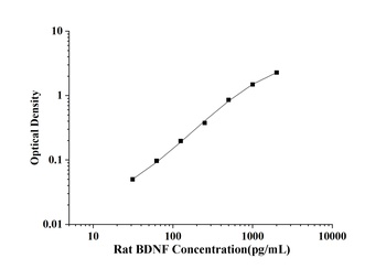 Rat Brain Derived Neurotrophic Factor (BDNF) ELISA Kit