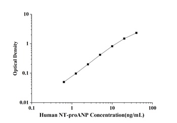 Human N-Terminal Pro Atrial Natriuretic Peptide (NT-proANP) ELISA Kit