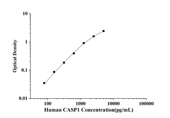 Human Caspase 1 (CASP1) ELISA Kit