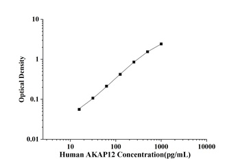 Human A Kinase Anchor Protein 12 (AKAP12) ELISA Kit