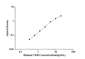 Human Creatine Kinase, Brain (CKB) ELISA Kit