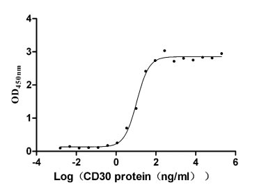 Recombinant Human Tumor necrosis factor ligand superfamily member 8 (TNFSF8), partial (Active)