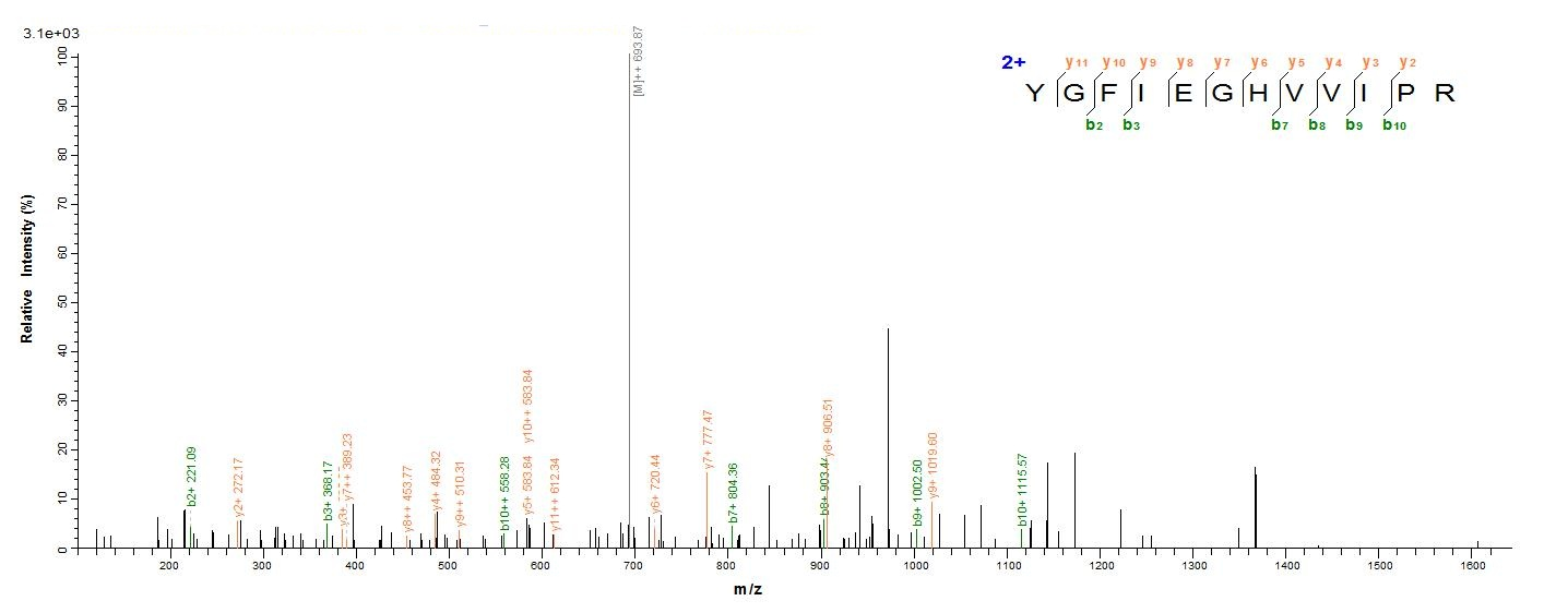 Recombinant Human CD44 antigen (CD44), partial (Active)