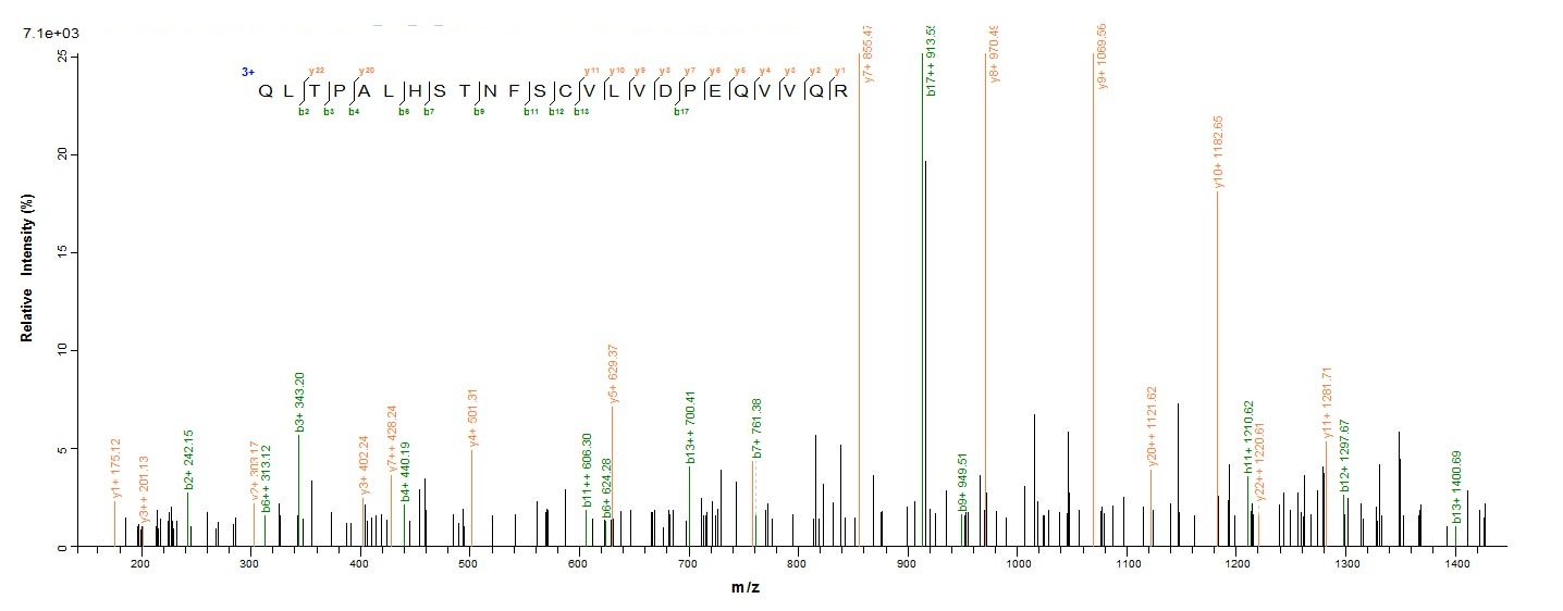 Recombinant Human Interleukin-18-binding protein (IL18BP), partial