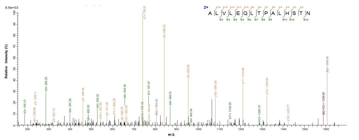 Recombinant Human Interleukin-18-binding protein (IL18BP), partial