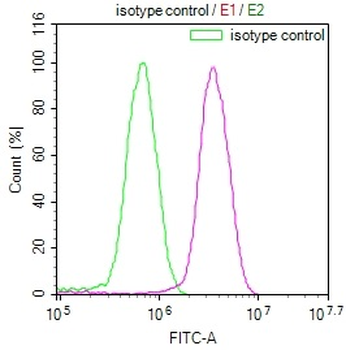 PKN2 Antibody
