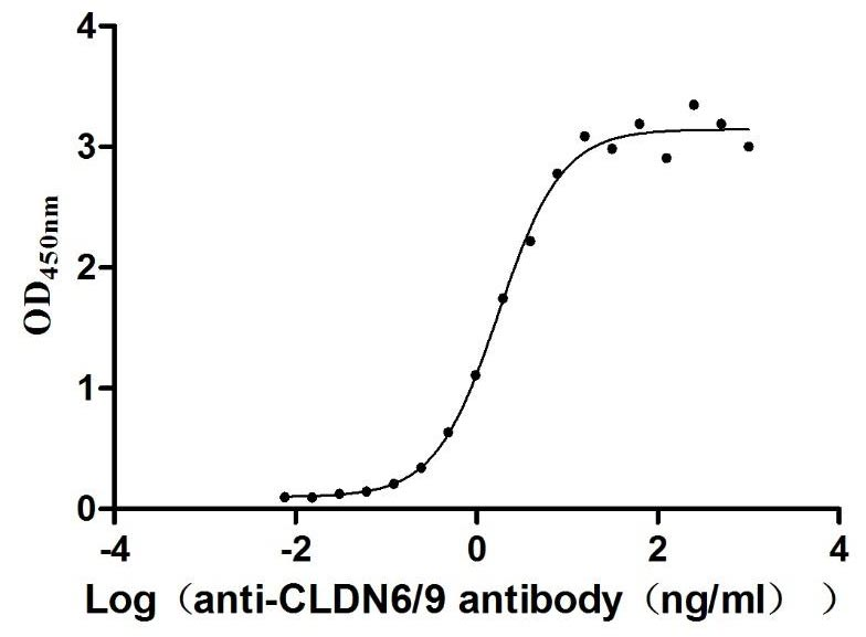 Human CLDN6-VLPs Protein