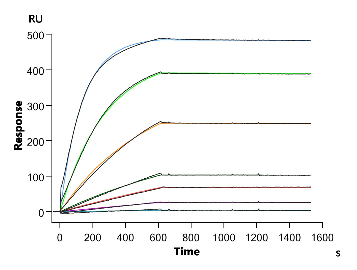 Human CLDN6-VLPs Protein