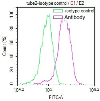 FLOT1 Antibody