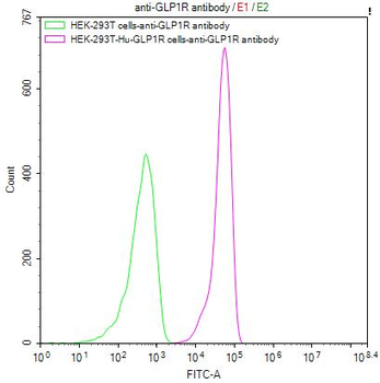 GLP1R Antibody