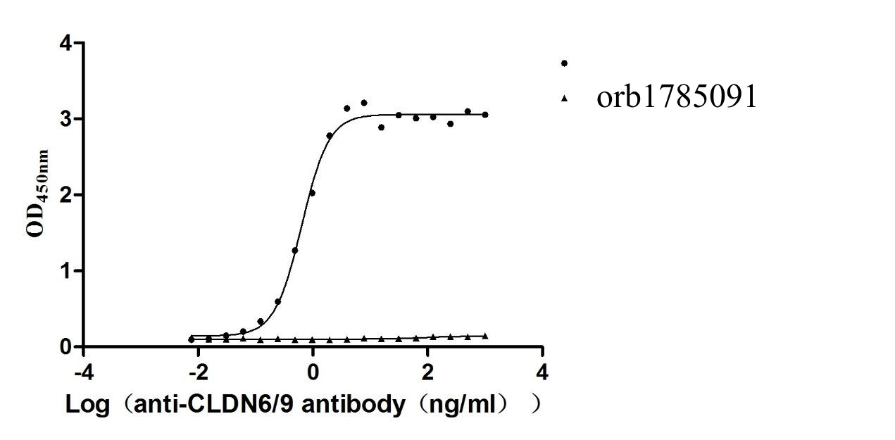 Recombinant Human Claudin-6 (CLDN6)-VLPs, Fluorescent (Active)