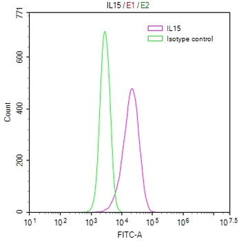 IL15 Antibody