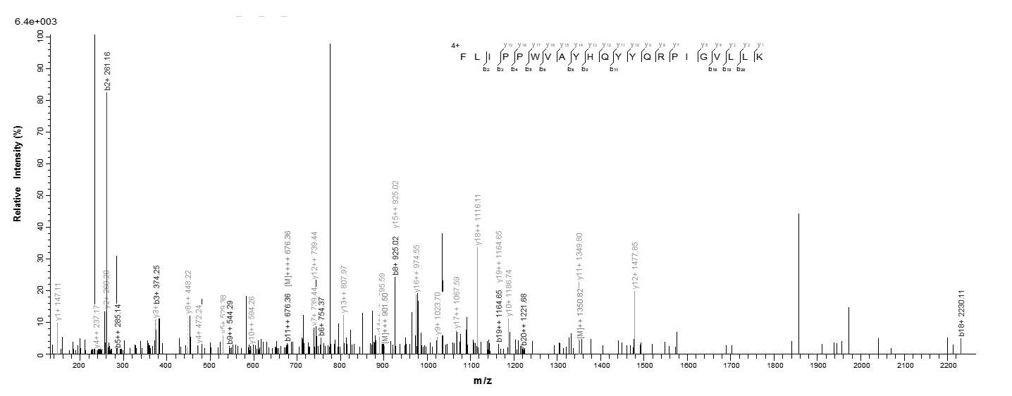 Human CYP11A1 protein