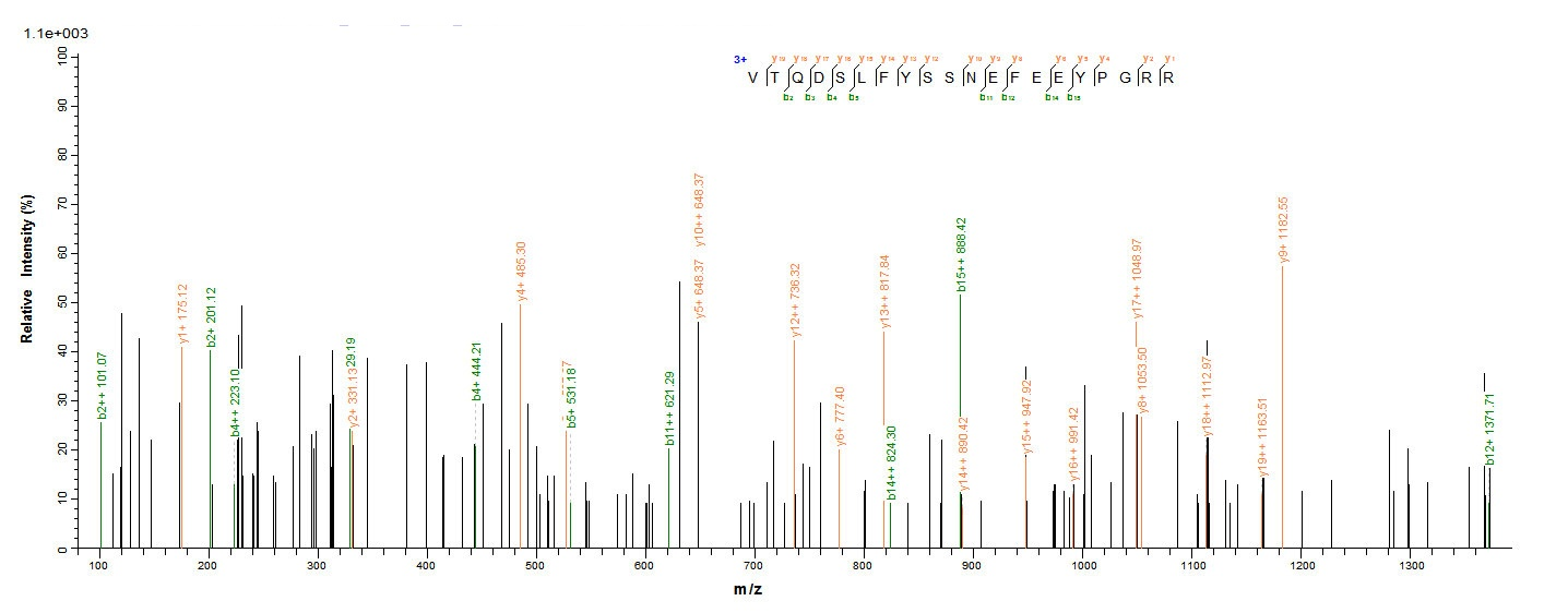 Human FAP protein