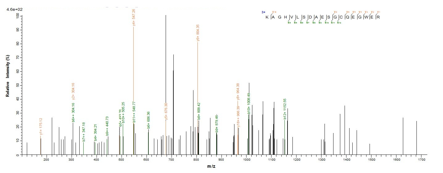 Human PLA2R1 protein