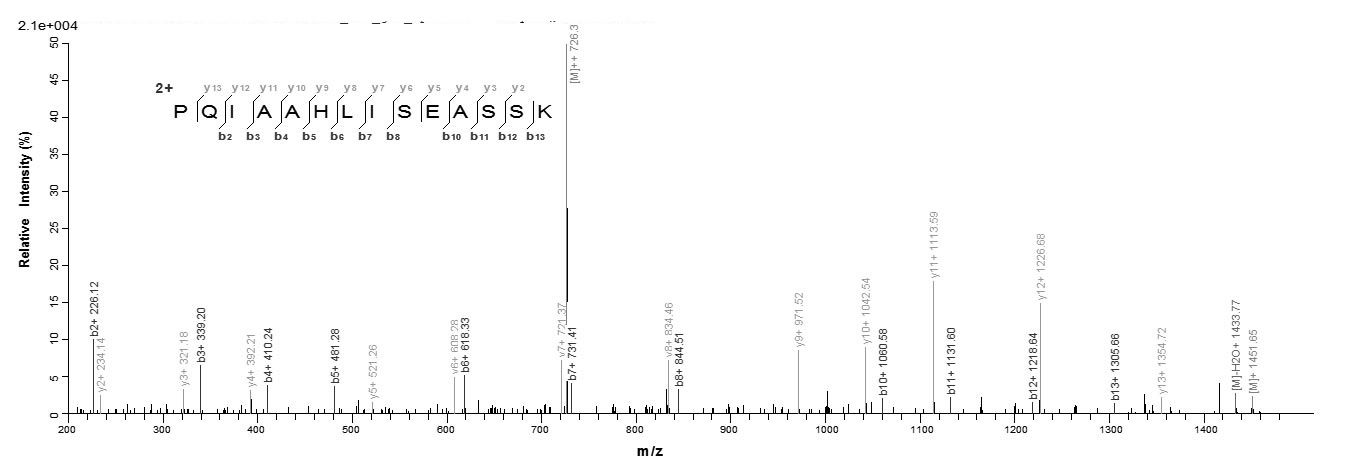 Rabbit CD40LG protein