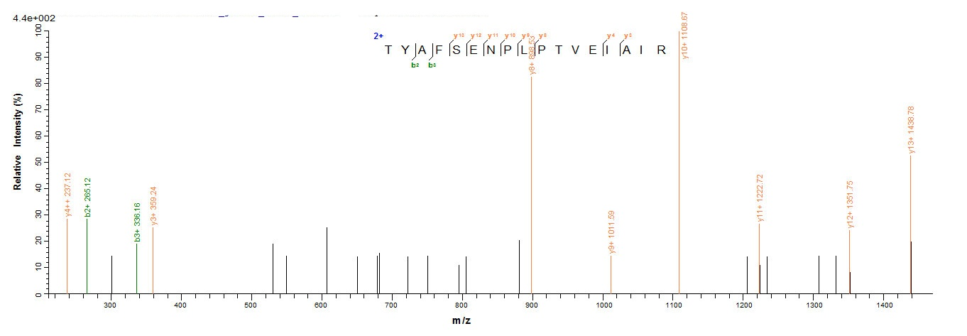 Human SMARCB1 protein