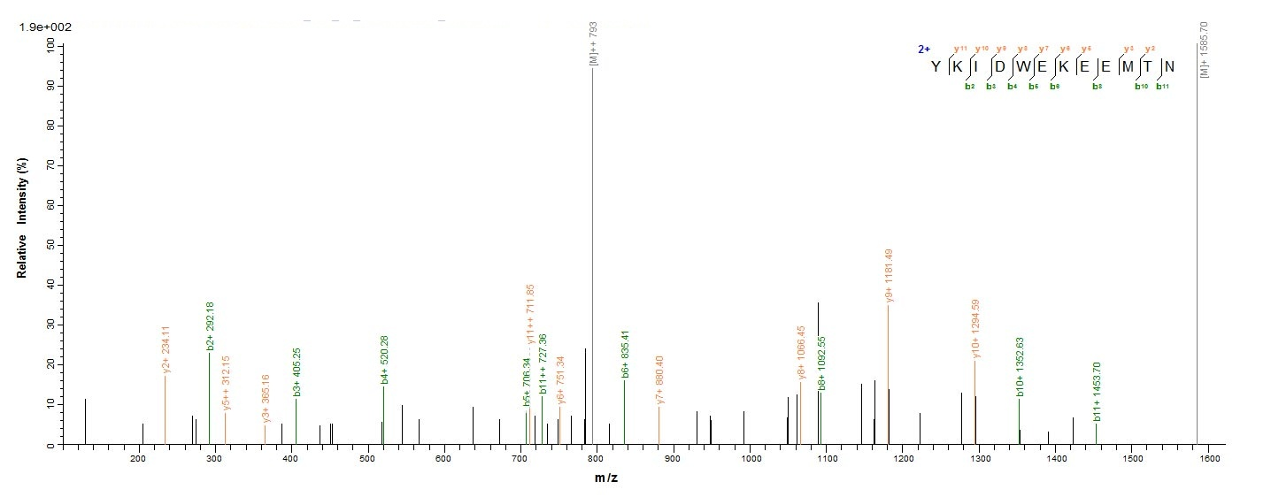 Yeast hly protein