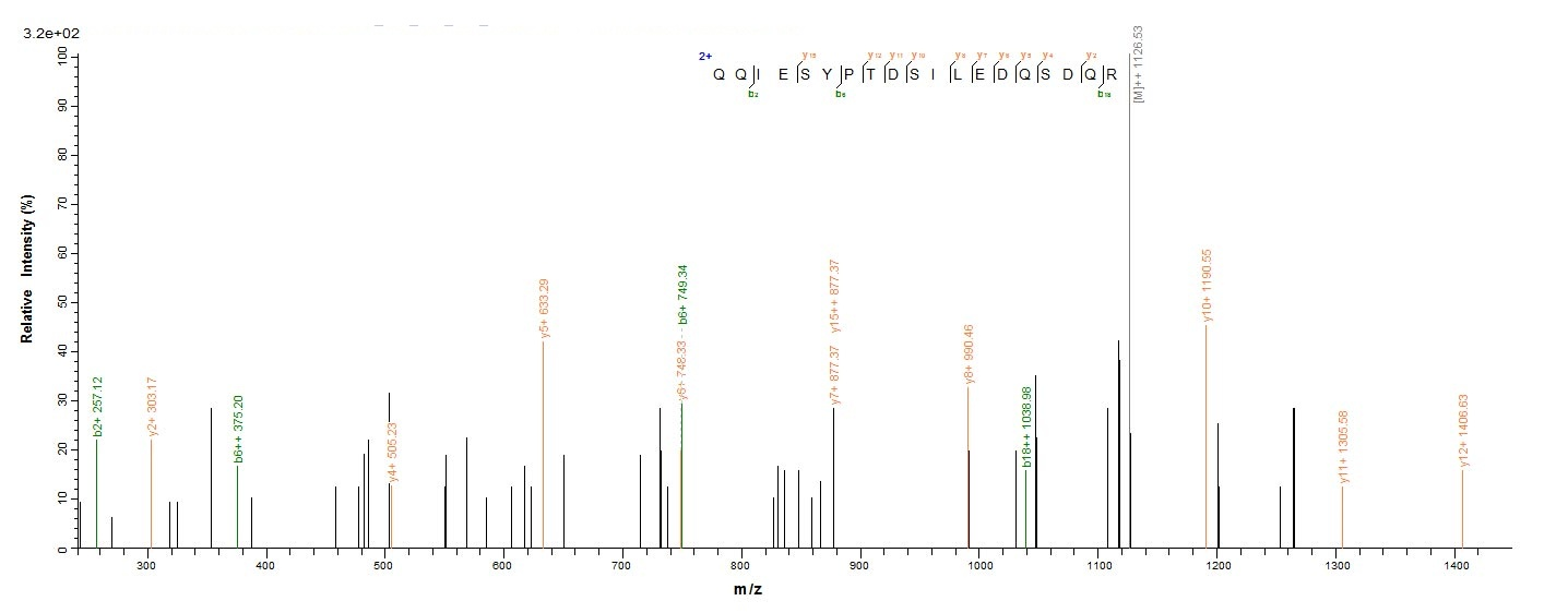 Human SMARCB1 protein