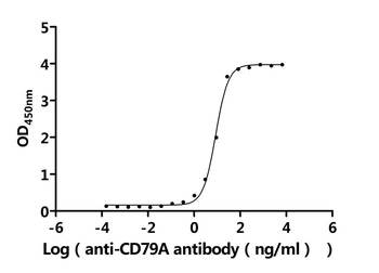 CD79A Antibody