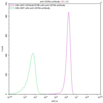CD79A Antibody