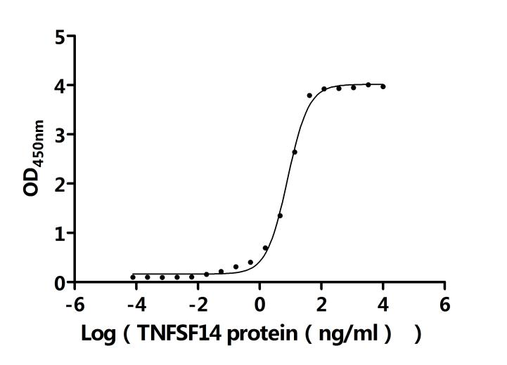 Recombinant Human Tumor necrosis factor receptor superfamily member 3 (LTBR), partial (Active)
