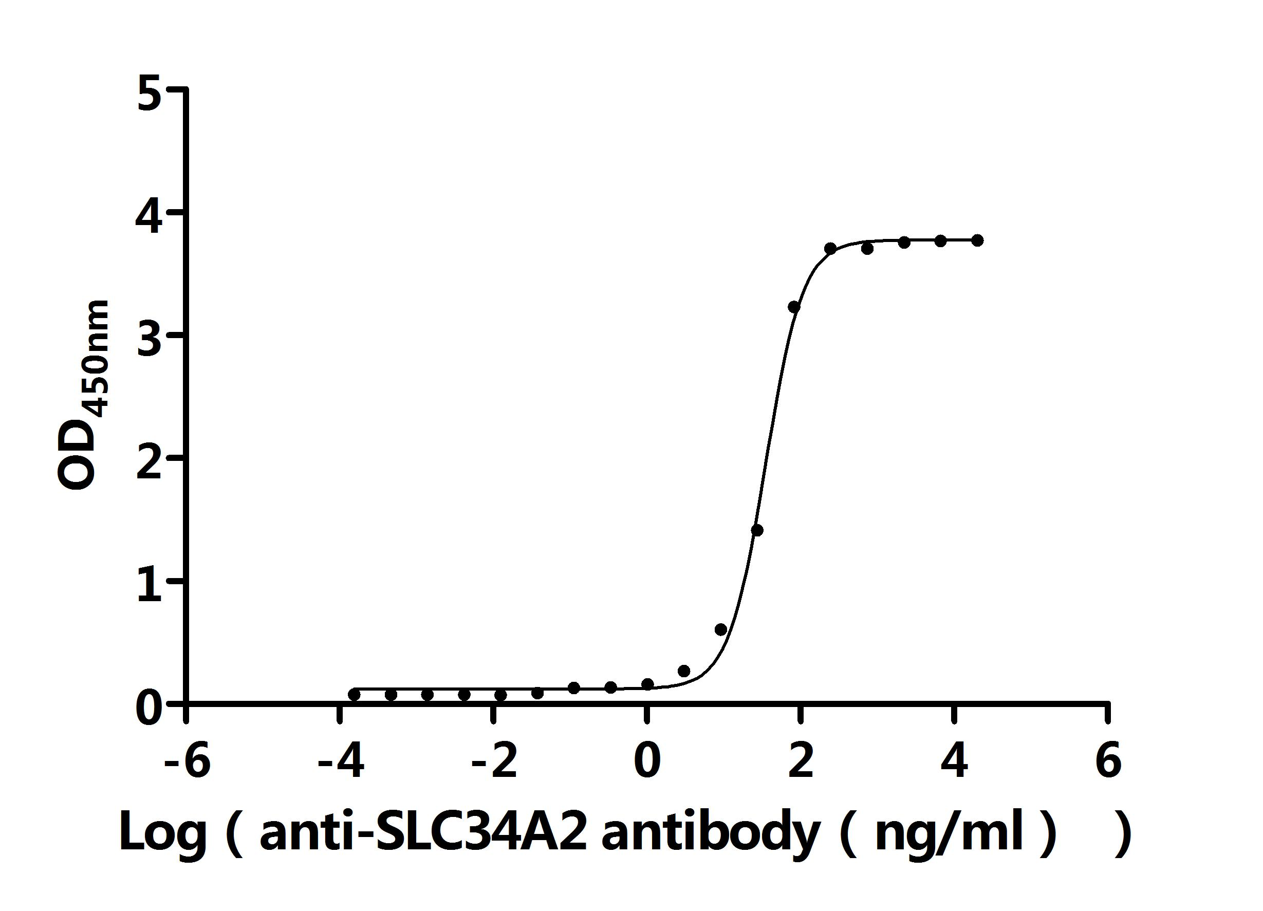 Recombinant Human Sodium-dependent phosphate transport protein 2B (SLC34A2),partial