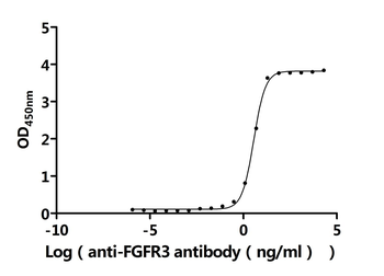 Recombinant Human Fibroblast growth factor receptor 3 (FGFR3), partial (Active)