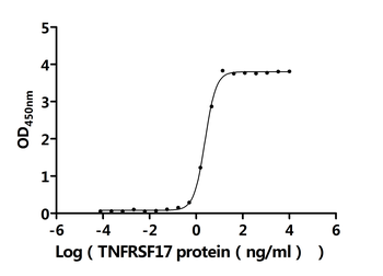 Recombinant Human Tumor necrosis factor receptor superfamily member 17 (TNFRSF17), partial (Active)