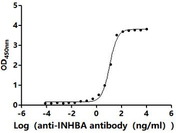 Recombinant Human Inhibin beta A chain (INHBA) (Active)