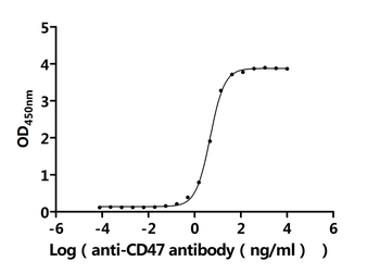 Recombinant Macaca mulatta Leukocyte surface antigen CD47 (CD47), partial (Active)