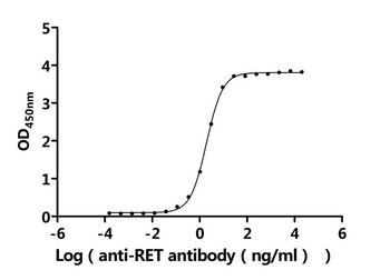 Recombinant Human Proto-oncogene tyrosine-protein kinase receptor Ret (RET), partial (Active)