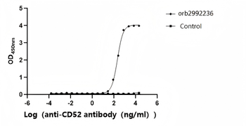 Recombinant Human CAMPATH-1 antigen (CD52)-Nanoparticle (Active)