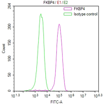 FKBP4 Antibody