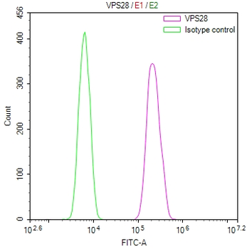 VPS28 Antibody