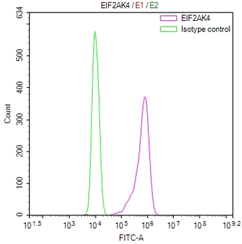 EIF2AK4 Antibody