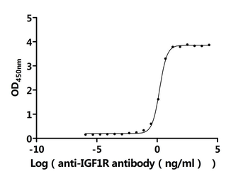 IGF1R Antibody
