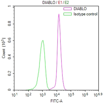 DIABLO Antibody