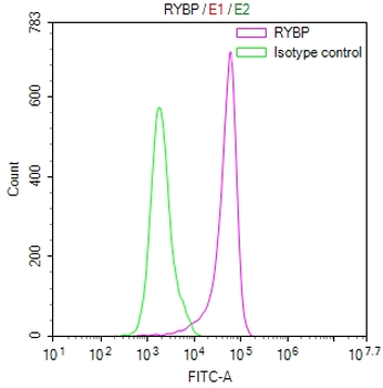 RYBP Antibody