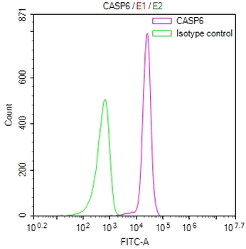 CASP6 Antibody