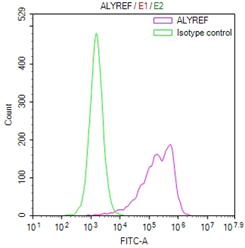 ALYREF Antibody