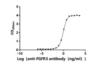 Recombinant Human Fibroblast growth factor receptor 3 (FGFR3), partial (Active)