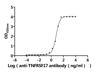 Recombinant Human Tumor necrosis factor receptor superfamily member 17 (TNFRSF17), partial (Active)