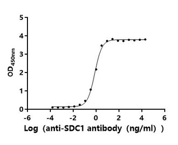 Recombinant Human Syndecan-1 (SDC1), partial (Active)